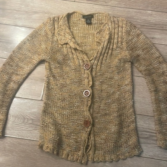 BCBG Sweaters - BCBG Maxzria fall sweater